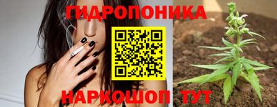 каннабис Будённовск