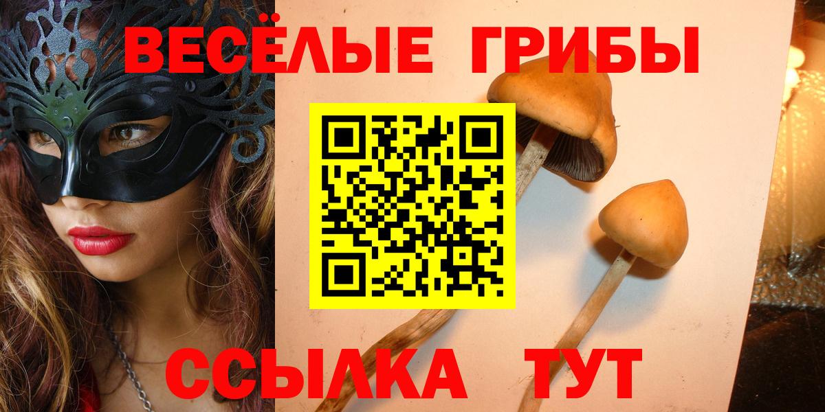 Псилоцибиновые грибы Psilocybine cubensis  Вход с VPN  Псилоцибиновые грибы Psilocybe  Пятигорск 